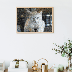 Mozaika ze zdjęć z kotem lub innym pupilem – sześciokąty