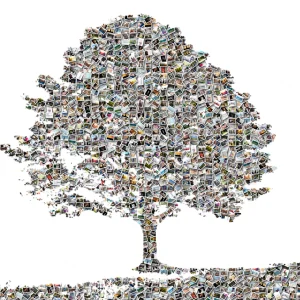Tree – photo collage