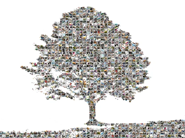 Family tree collage